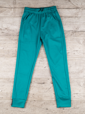 No Brand 1811 green (деми) штаны спорт женские