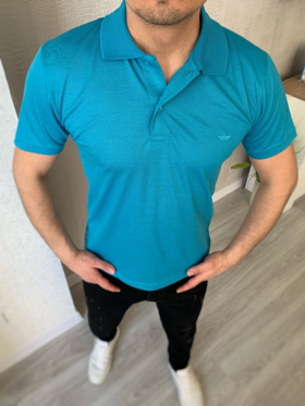 No Brand Polo S2754 blue (лето) футболка мужские
