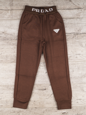 No Brand 1708 brown (деми) штаны спорт женские