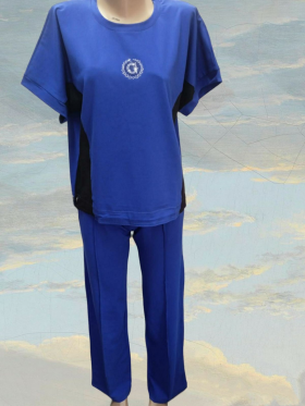 No Brand 126 blue (лето) костюм спорт женские