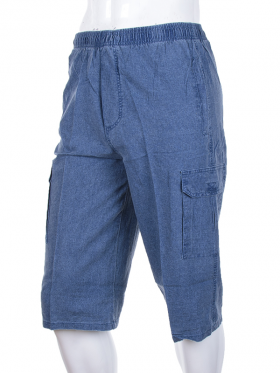 No Brand PL01 blue (лето) шорты мужские