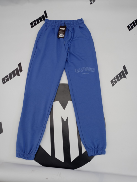 No Brand 0702 blue (деми) штаны спорт женские