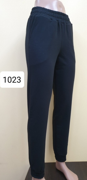 No Brand 10023 navy (деми) штаны спорт женские
