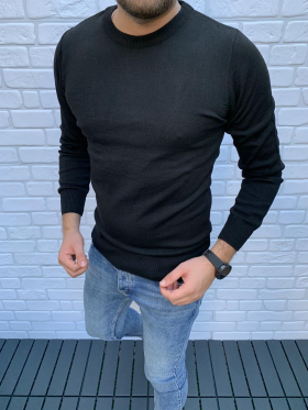 No Brand 32523 black (деми) свитер мужские