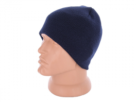 No Brand KA649-2 blue флис  (зима) шапка мужские