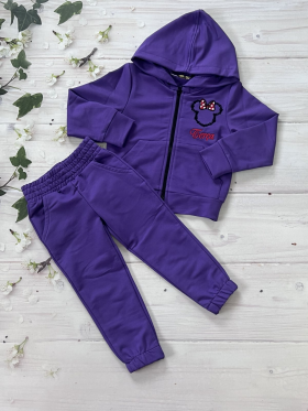 No Brand 1011 purple (деми) костюм спорт детские