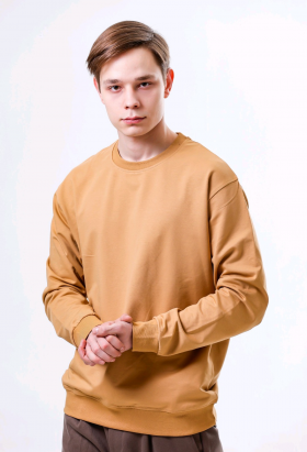 No Brand 5904 beige (деми) свитер мужские