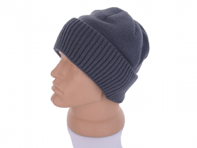 No Brand F0009 grey (зима) шапка мужские