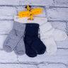 Arti R400238 (демі) шкарпетки дитячі