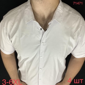 No Brand 71461-2 white (літо) сорочка чоловіча