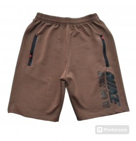 No Brand TK26 brown (лето) шорты мужские
