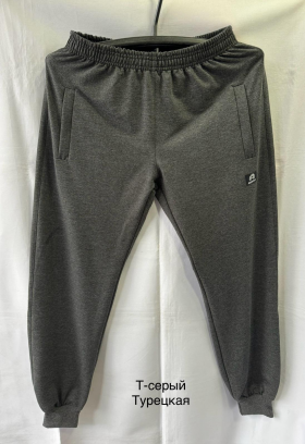 No Brand MH451 d.grey (деми) штаны спорт мужские