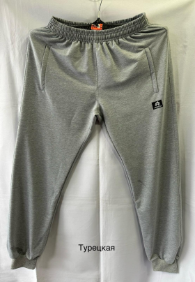 No Brand MH452 grey (деми) штаны спорт мужские