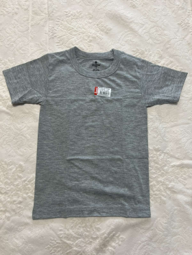 No Brand 312-3 grey (5) (літо) футболка дитяча