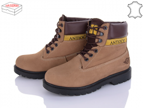 Antioch T11-1 (деми) ботинки мужские