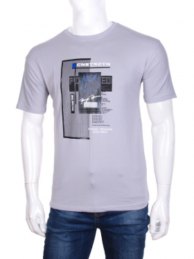 No Brand 2000 l.grey (лето) футболка мужские