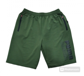 No Brand TK29 green (лето) шорты мужские