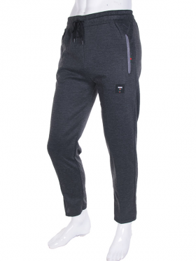 No Brand 1705 grey (деми) штаны спорт мужские
