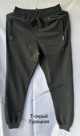 No Brand MH456 d.grey (деми) штаны спорт мужские