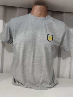 No Brand 671 grey (лето) футболка мужские