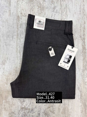 No Brand 427 grey (деми) брюки мужские