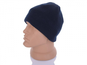 No Brand F0001 navy (зима) шапка мужские