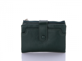 No Brand ZK16B green (демі) гаманець жіночі