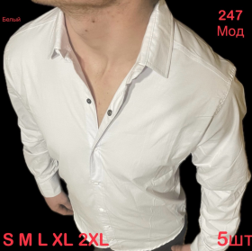 No Brand 247 white (демі) сорочка чоловіча