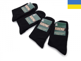 No Brand 1013Ж чорний (демі) чоловічі шкарпетки