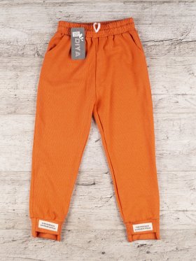 No Brand 566 orange (демі) штани дитячі спорт