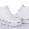 Cailaste 3D260-19 (зима) черевики жіночі