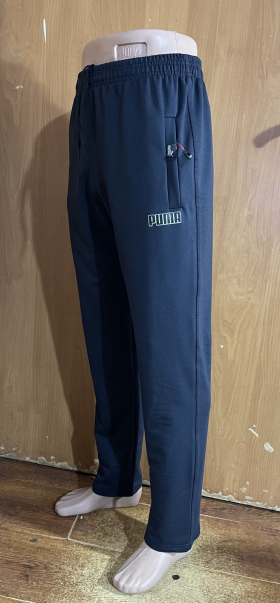 No Brand AD762 blue (деми) штаны спорт мужские