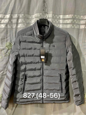 No Brand 827 grey (деми) куртка мужские