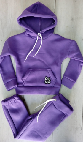 No Brand 310361 purple (зима) костюм спорт дитячі