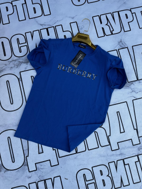 No Brand SS41 blue (лето) футболка мужские