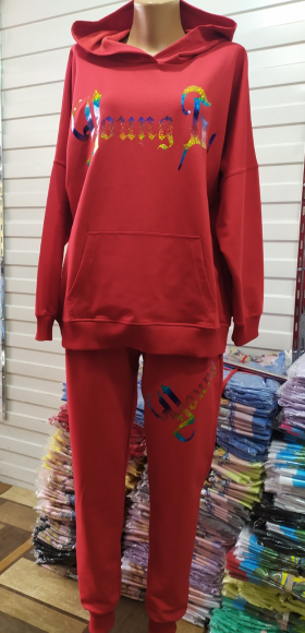 No Brand 013 red (деми) костюм спорт женские