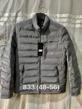 No Brand 833 grey (деми) куртка мужские