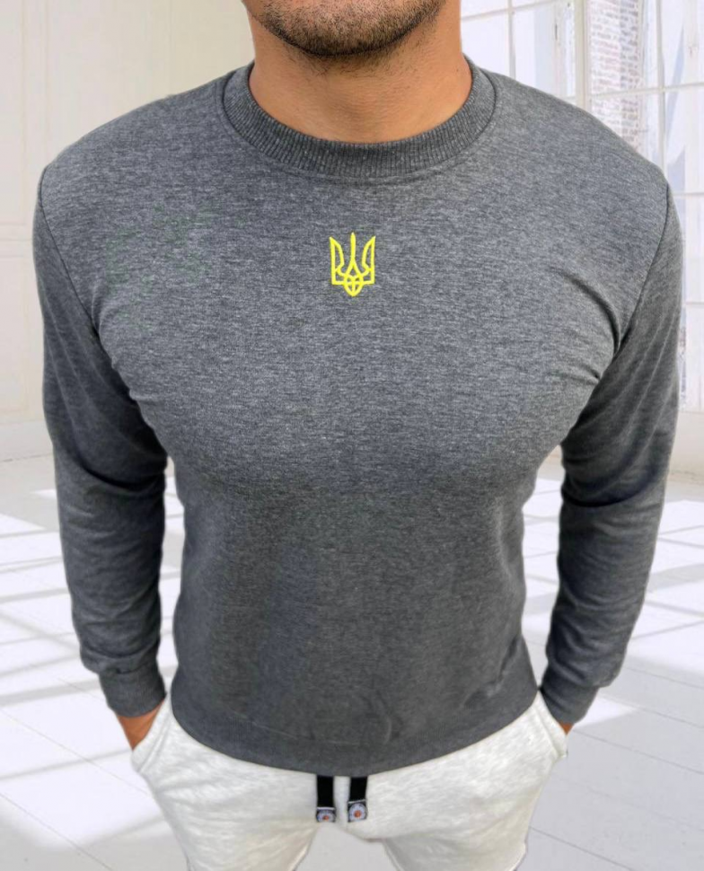 No Brand 55081 grey (деми) свитер мужские