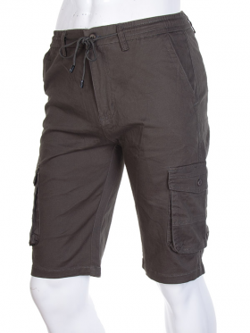 No Brand W91102 (лето) шорты мужские