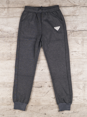 No Brand 1701 grey (деми) штаны спорт женские