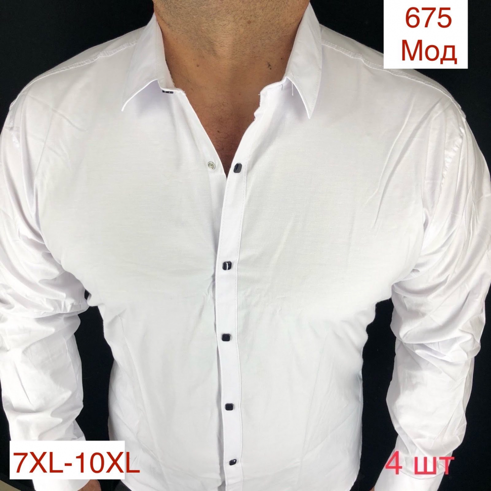 No Brand 675 white (деми) рубашка мужские