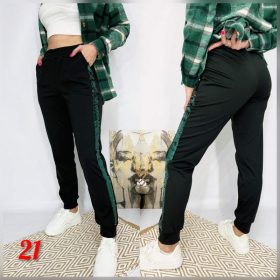 No Brand 21-2 (деми) штаны спорт женские