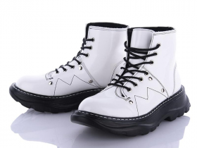 Aelida J69-2 (зима) черевики жіночі