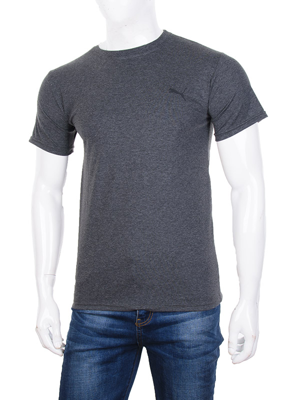 No Brand SA10-23 grey (лето) футболка мужские
