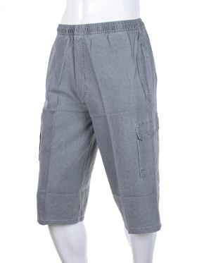 No Brand PL02 grey (лето) шорты мужские