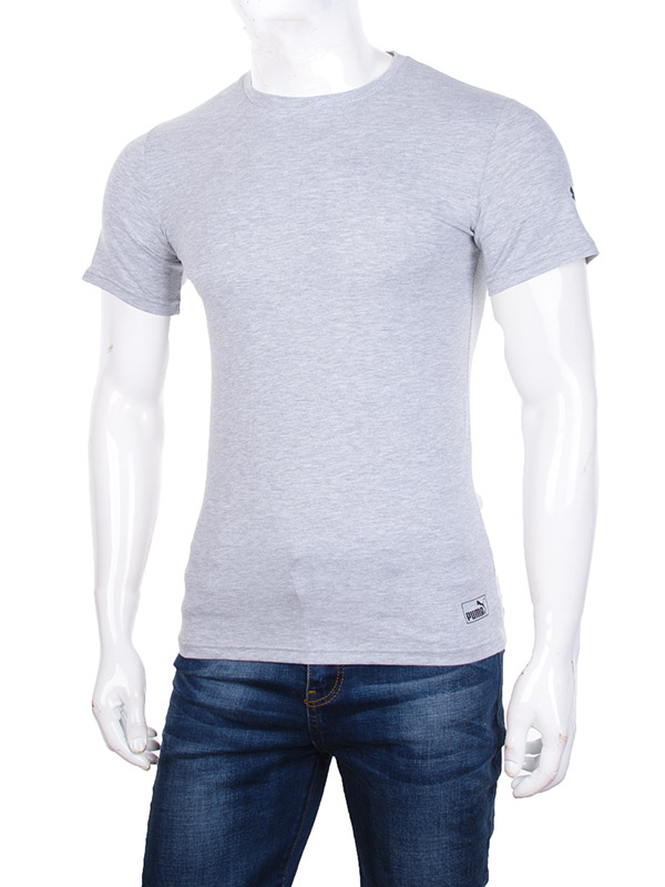 No Brand SA10-31 grey (лето) футболка мужские
