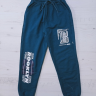 No Brand 83 blue (демі) штани дитячі спорт