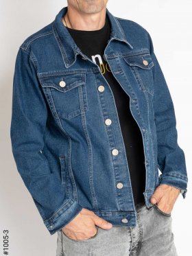 No Brand 1005-3 blue (деми) куртка мужские