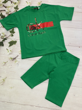 No Brand 1039 green (лето) костюм детские