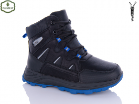 Paliament D1105-1 (зима) черевики